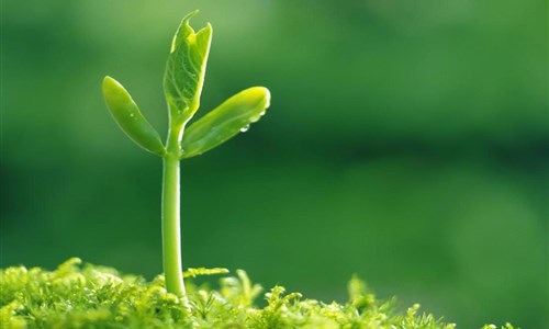 2 câu chuyện thâm thúy về triết lý "cho đi và nhận lại" trong cuộc sống