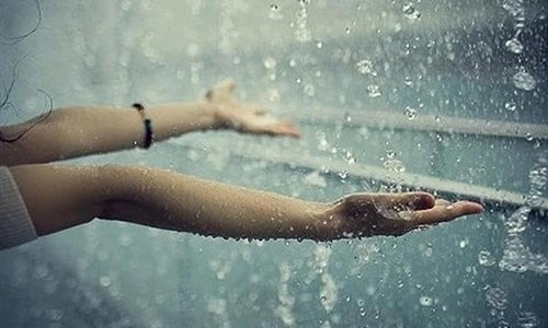Hạnh Phúc Ở Quanh Ta – Gieo Hạt Giống Tâm Hồn